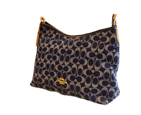 Coach Teri shoulder bag